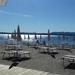 Aurora Vila *